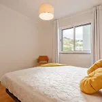 Refugio Girassol Канису